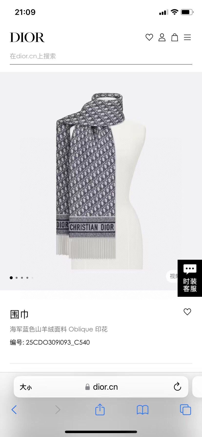 Christian Dior Scarf